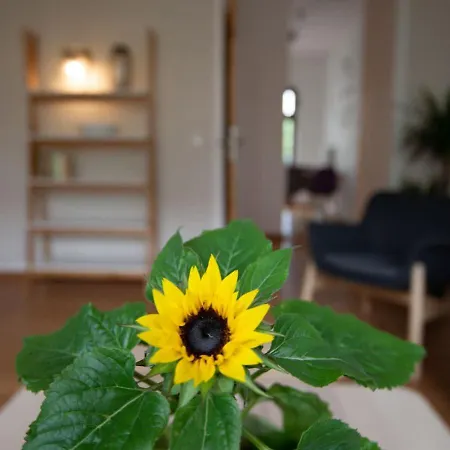 Apartament Arena Guest Lipsk