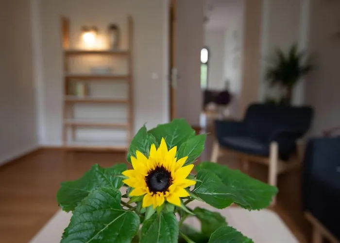 Apartment Arena Guest Leipzig